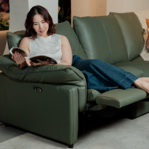 Fritz Recliner Sofa 3+2